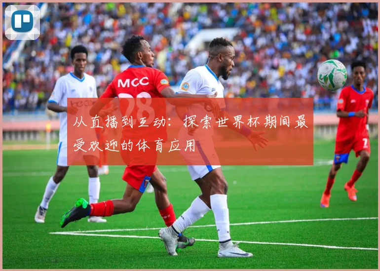 从直播到互动：探索世界杯期间最受欢迎的体育应用