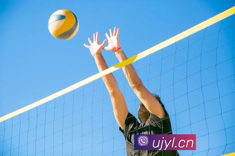 米兰app体育安全登录入口APP 体育赛事宣传图